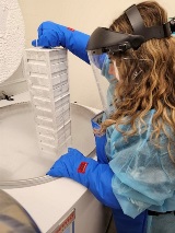 Image of Researcher Returning Specimens to Cold Storage